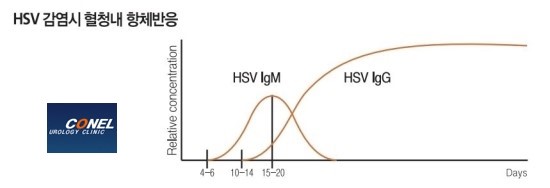 Ŭ¸¯ÇÏ½Ã¸é ¿øº» À̹ÌÁö¸¦ º¸½Ç¼ö ÀÖ½À´Ï´Ù.